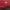 Streetwear Sportswear Hat Wanita navy red photo 1
