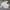 Casual Casual shirt Pria white photo 3