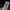 Puma Gorpcore Windbreaker Pria white black photo 5