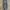 Streetwear Skater Jeans Pria white blue photo 5