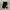 Burberry Casual Sweatpants & Joggers Pria white black photo 1