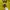 Vintage Casual Jersey Pria yellow photo 6