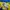 Vintage Casual Jersey Pria yellow photo 3