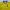 Vintage Casual Jersey Pria yellow photo 4
