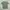Fjällräven Casual T-shirt Pria green photo 1