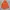 Casual Parka Pria orange photo 4