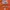 Casual Parka Pria orange photo 3