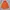Casual Parka Pria orange photo 1