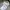 New Balance Streetwear Sportswear Sneakers Pria white photo 6