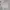 Vintage Coquette Nightgown Wanita white photo 3