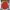 Casual Muslim Baju muslim Pria red orange photo 3