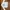 Bershka Streetwear Denim jacket Pria cream photo 4