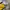 Ellesse Y2K Luxury Windbreaker Pria white yellow photo 3