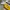 Ellesse Y2K Luxury Windbreaker Pria white yellow photo 4