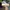 Converse Luxury Casual Sneakers Wanita multicolor photo 1