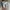 Converse Luxury Casual Sneakers Wanita multicolor photo 4