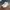 Converse Luxury Casual Sneakers Wanita multicolor photo 3