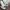 Converse Luxury Casual Sneakers Wanita multicolor photo 6