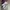 Converse Luxury Casual Sneakers Wanita multicolor photo 5