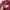 Uniqlo Y2K Casual Casual shirt Pria red black photo 3