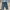 Casual Jeans Pria silver gray photo 5