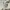 Covernat Streetwear Sportswear Sweatshirt Pria cream photo 3
