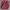 Wrangler Vintage Casual Casual shirt Pria red photo 5