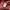 Vivastudio Streetwear Sportswear Sweatshirt Pria red photo 3