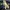 Vivastudio Streetwear Sportswear Sweatshirt Pria navy photo 5