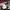 Dickies Streetwear Pria burgundy photo 3