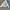 Levi's Biker Casual Jeans Pria silver photo 2