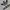 Adidas Casual Other Pria white photo 3