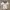 Casual Jersey Wanita white photo 1