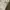 Levi's Streetwear Skater Jeans Pria tan photo 5