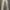 Levi's Streetwear Skater Jeans Pria tan photo 2