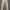Levi's Streetwear Skater Jeans Pria Tan