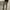 Levi's Streetwear Skater Jeans Pria tan photo 8