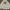 Dickies Casual Dress shoe Pria white photo 1