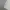 Fila Sportswear Pria white photo 4