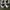 Adidas Skater Casual Sneakers Pria white photo 4