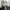 Adidas Skater Casual Sneakers Pria white photo 6