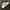 Adidas Skater Casual Sneakers Pria white photo 2