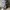 ZARA Streetwear Minimalist Shirt Wanita gray photo 1
