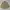 J. PRESS Vintage Pria cream yellow photo 1