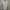 Sandro Paris Streetwear Luxury Fleece Wanita white cream photo 3
