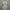 Sandro Paris Streetwear Luxury Fleece Wanita white cream photo 6