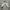 Sandro Paris Streetwear Luxury Fleece Wanita white cream photo 5