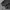 Adidas Streetwear Sportswear Hoody Pria gray photo 2