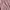 Coquette Casual Going out dress Wanita pink photo 2
