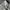 Levi's Streetwear Casual Casual pants Pria cream photo 2